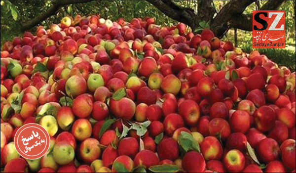 خبرگزاری صدای زنجان