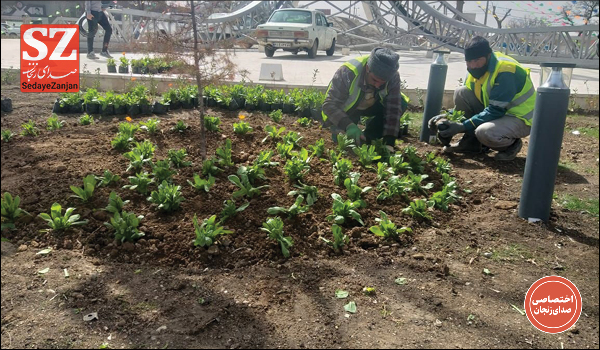 پایگاه خبری تحلیلی صدای زنجان