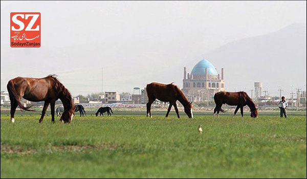 پایگاه خبری تحلیلی صدای زنجان