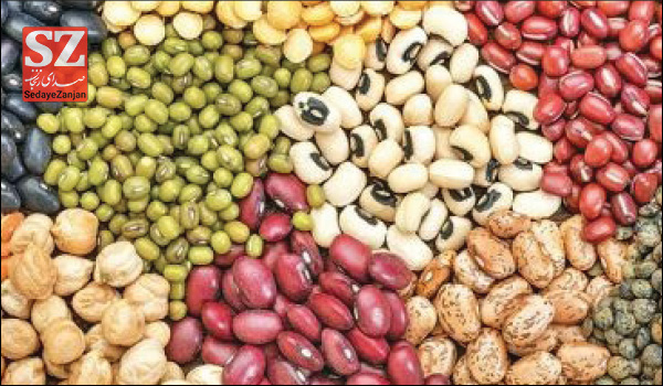 پایگاه خبری صدای زنجان
