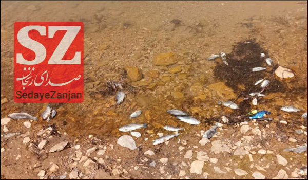 خبرگزاری صدای زنجان