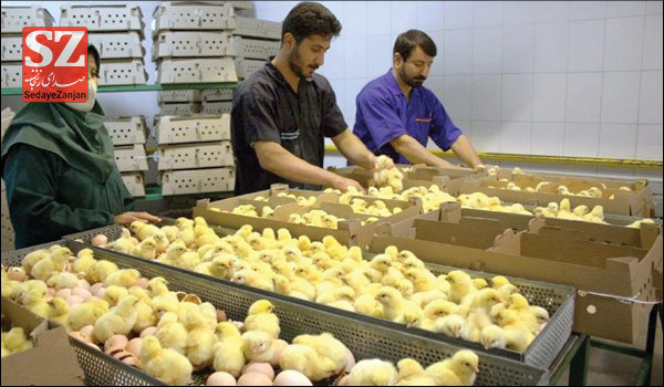 خبرگزاری صدای زنجان