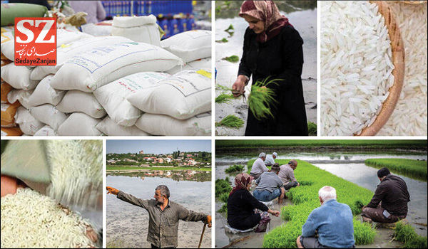 خبرگزاری صدای زنجان