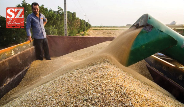 خبرگزاری صدای زنجان