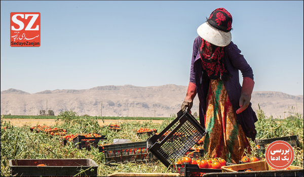 خبرگزاری صدای زنجان