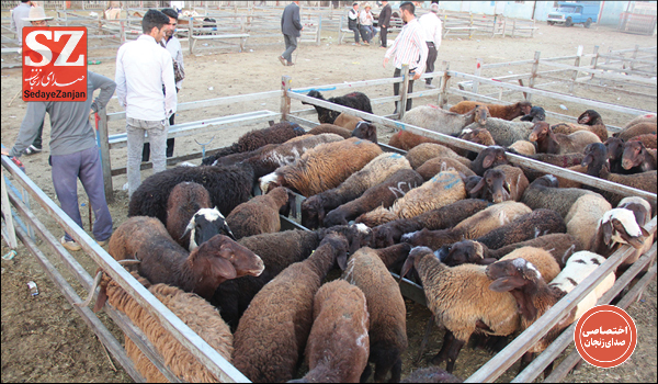 پایگاه خبری تحلیلی صدای زنجان