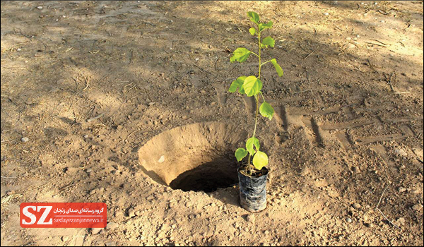 خبرگزاری صدای زنجان