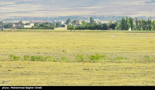 خبرگزاری صدای زنجان