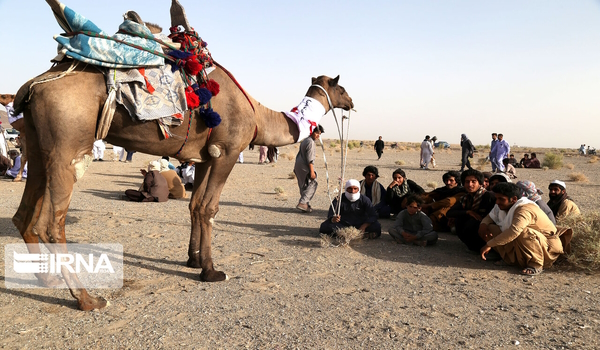 پایگاه خبری تحلیلی صدای زنجان