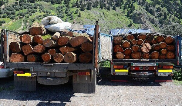 پایگاه خبری تحلیلی صدای زنجان