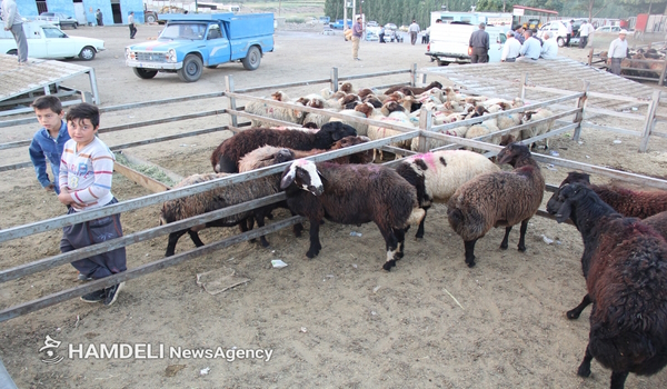 خبرگزاری صدای زنجان